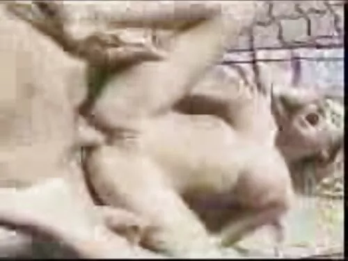 તેના નાના tits પર સે ...