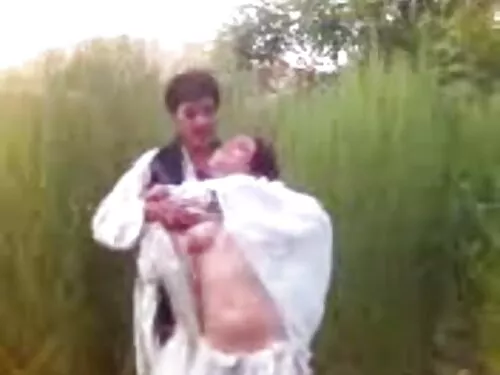 પ્રખર જાપાનીઝ હો અકી ...