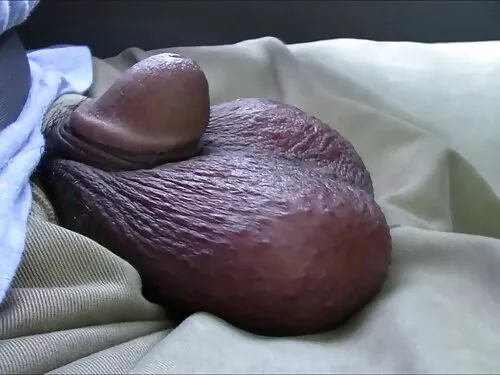 કિંકી સારા જય અને સે ...
